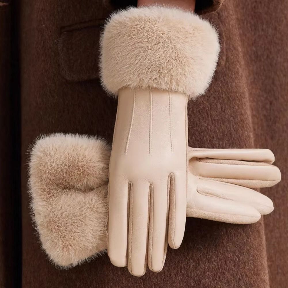Thermisch Gefütterte Damen-Led – Winter Glove Insulated Bewertung und Preis